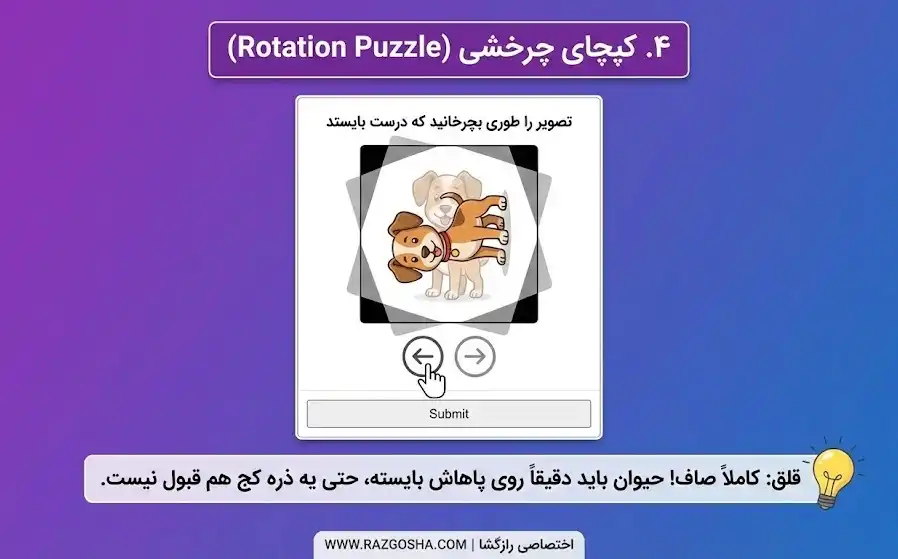 آموزش حل کپای چرخشی مثل باید حیوان دقیقاً روی پاهاش بایسته